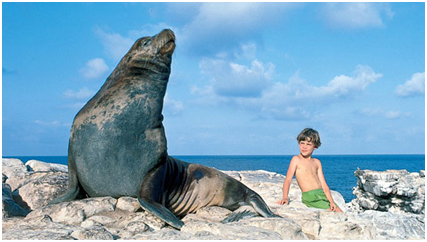GiantSeal