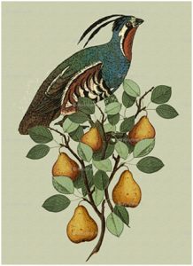 partridge-in-a-pear-tree