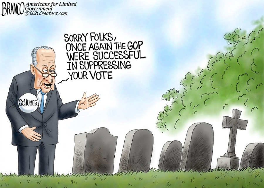 dying-to-vote