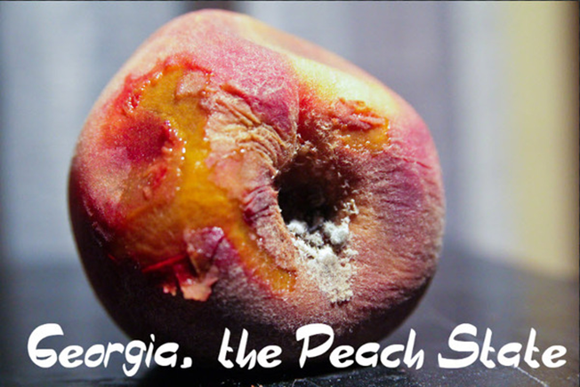 rotten-peach-state