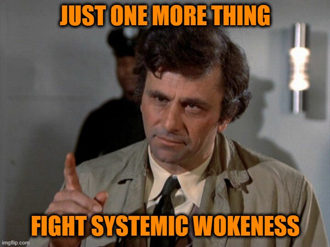 fight-wokeness