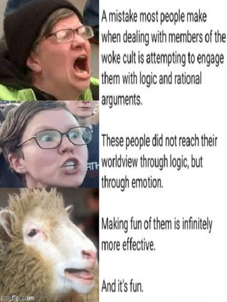 woke-fun