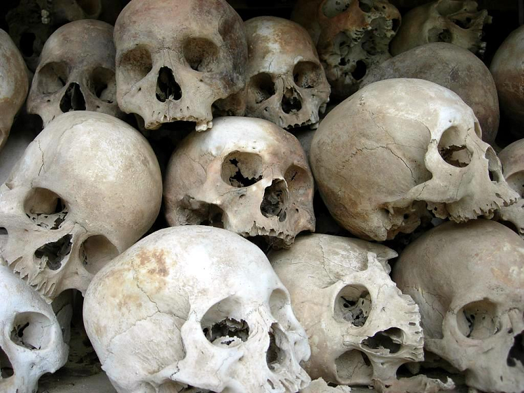 skulls