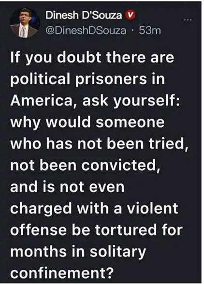 dinesh-on-jan-6-incident