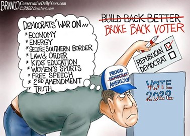 broke-back-voter
