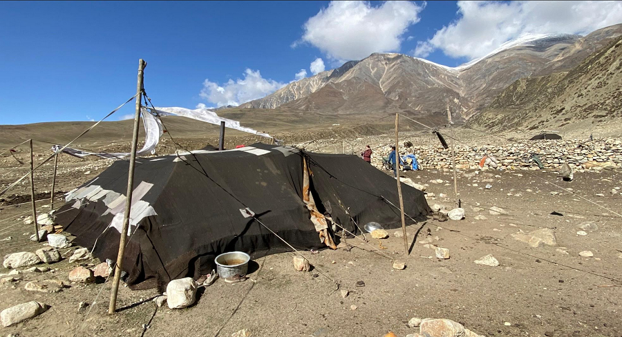 himalayan-nomad-tent