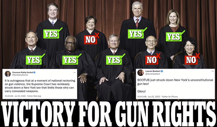 gun-rights-victory