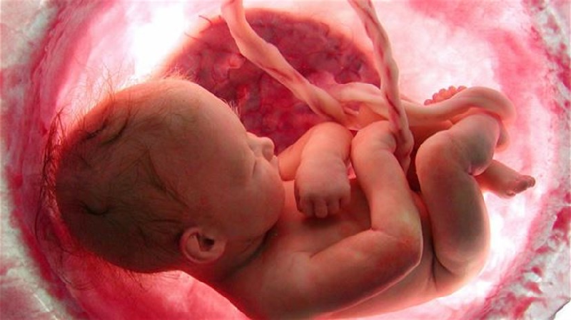 Baby in the womb at nine months
