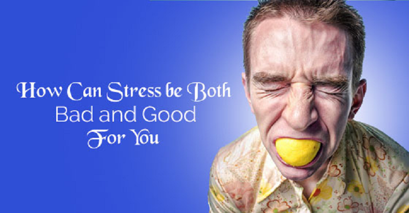 Man should not try to avoid stress any more than he would shun food, love or exercise. - Hans Selye 