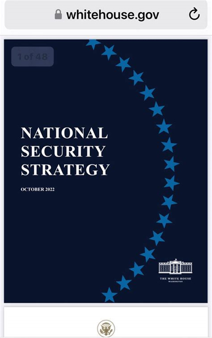 ns-strategy-doc