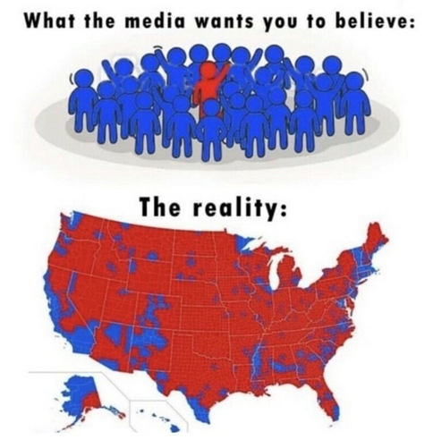 media_reality