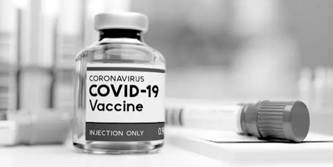 cvd-vaccine