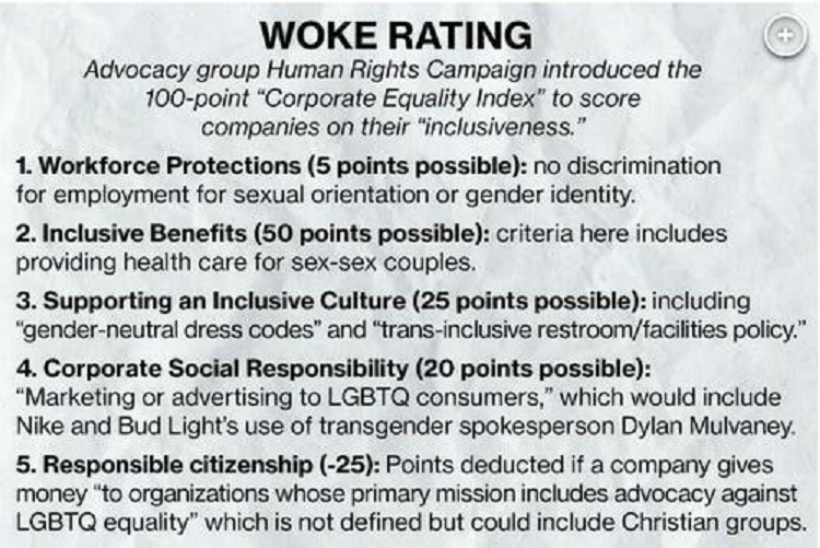woke-rating