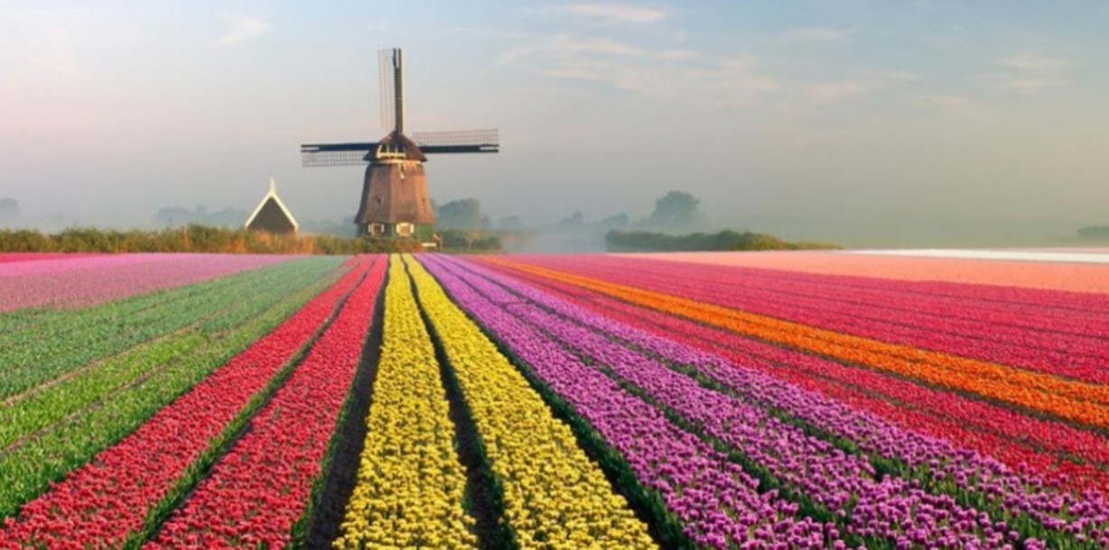 colorful-flowers-windmill