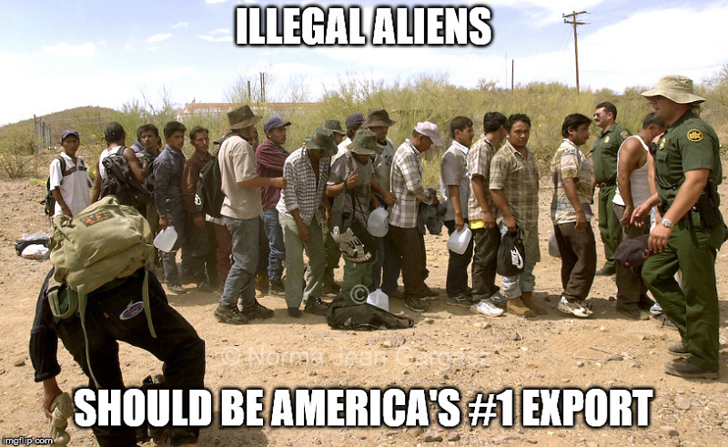 1-illegal-export-aliens