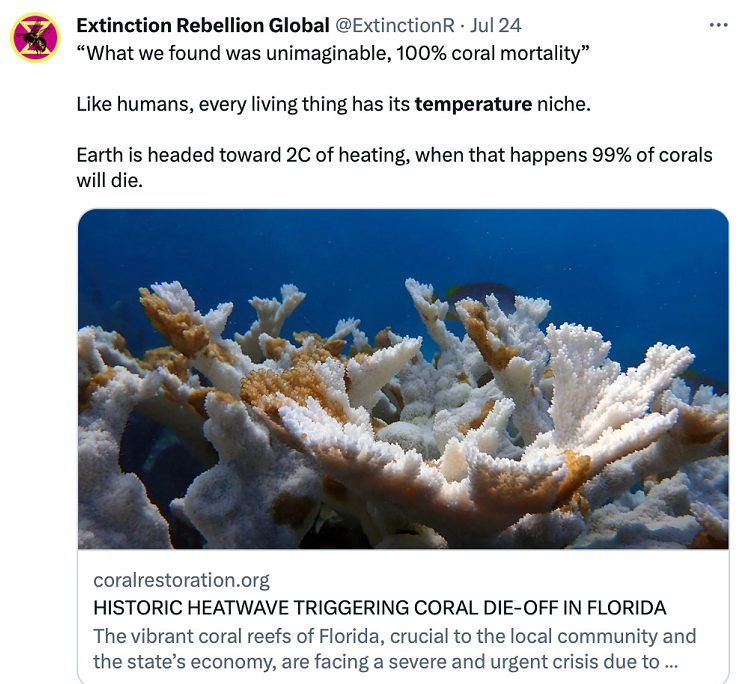 coral-die-off-in-fl