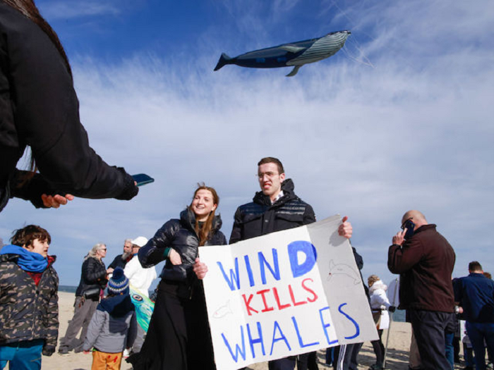 wind-kills-whales