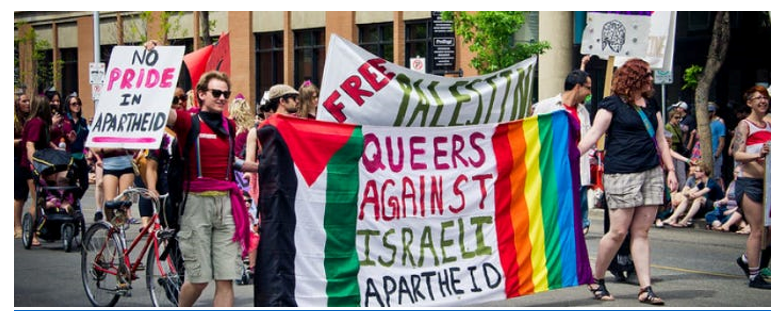 anti-israel-queers