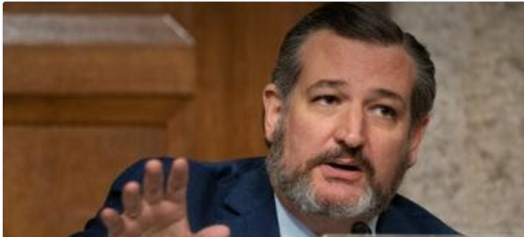 ted-cruz-troubles-for-nsf