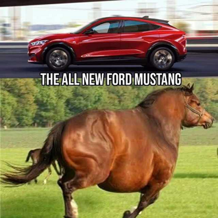 fat-ford-mustang
