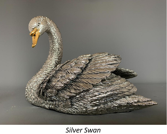 silver-swan