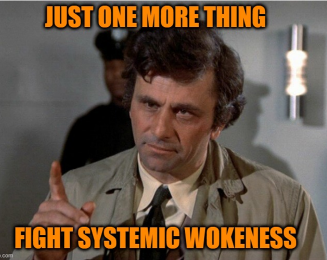 fight-systemic-wokeness