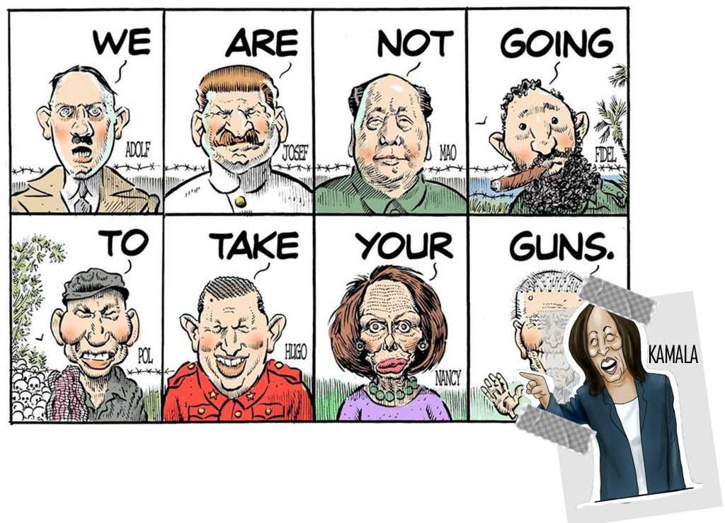 take-guns-kamala