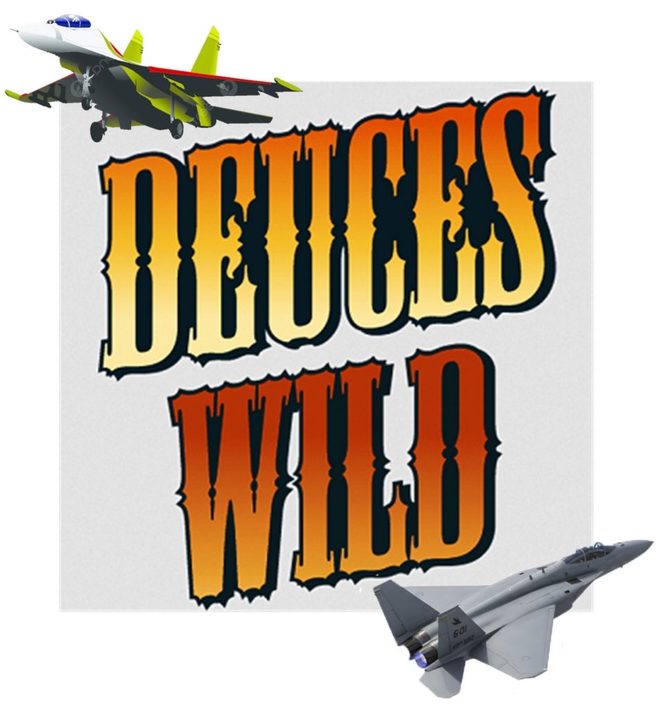 dogfight