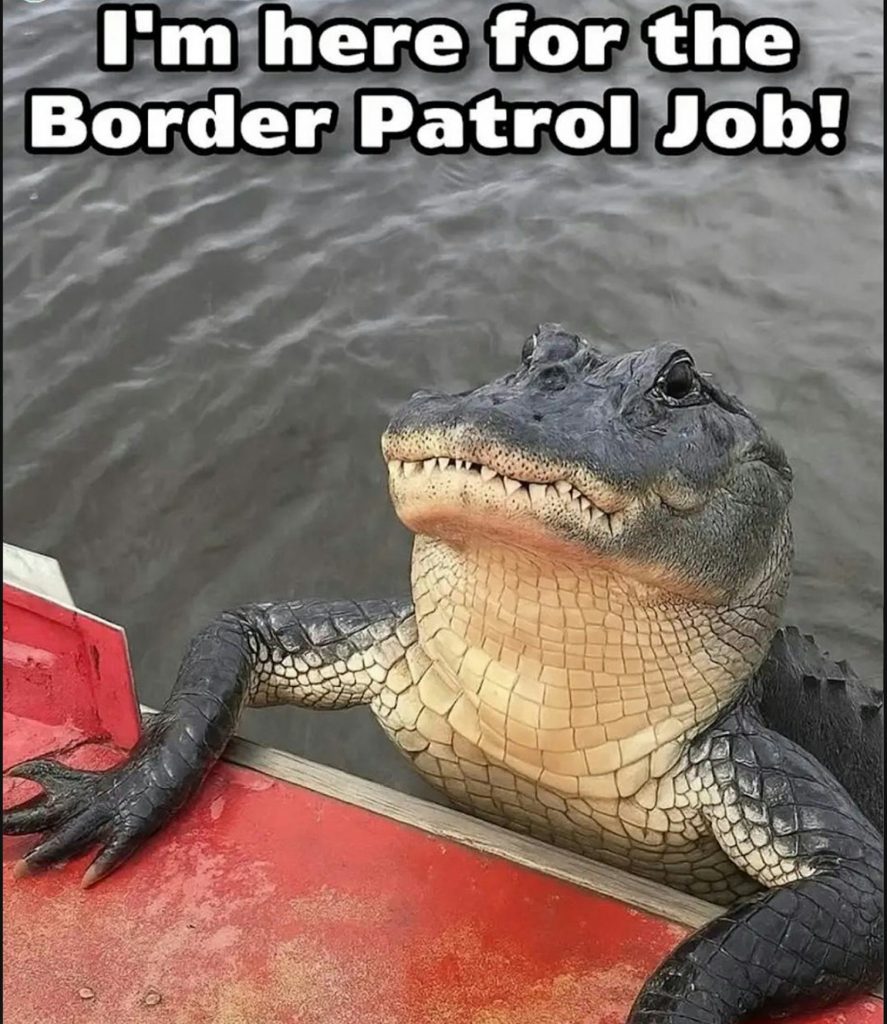 borderpatrol_gator
